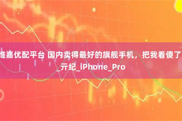 维嘉优配平台 国内卖得最好的旗舰手机，把我看傻了！_亓纪_iPhone_Pro