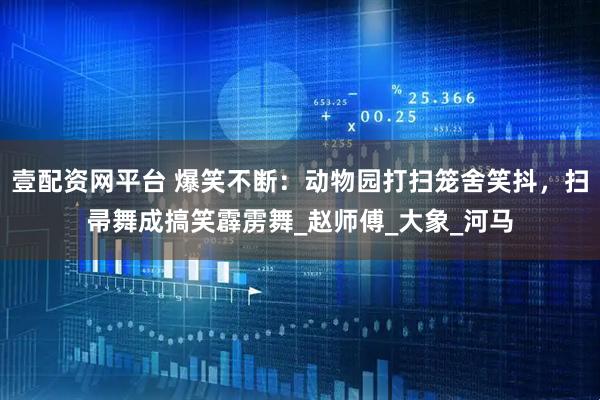 壹配资网平台 爆笑不断：动物园打扫笼舍笑抖，扫帚舞成搞笑霹雳舞_赵师傅_大象_河马