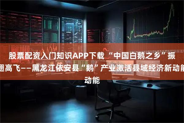 股票配资入门知识APP下载 “中国白鹅之乡”振翅高飞——黑龙江依安县“鹅”产业激活县域经济新动能