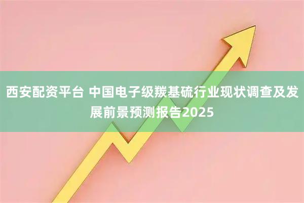 西安配资平台 中国电子级羰基硫行业现状调查及发展前景预测报告2025