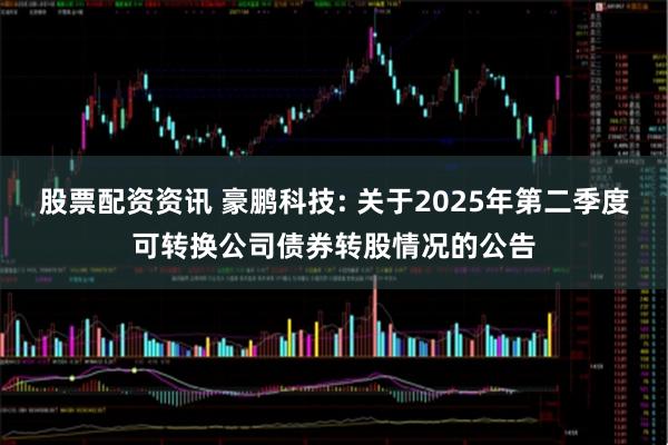 股票配资资讯 豪鹏科技: 关于2025年第二季度可转换公司债券转股情况的公告